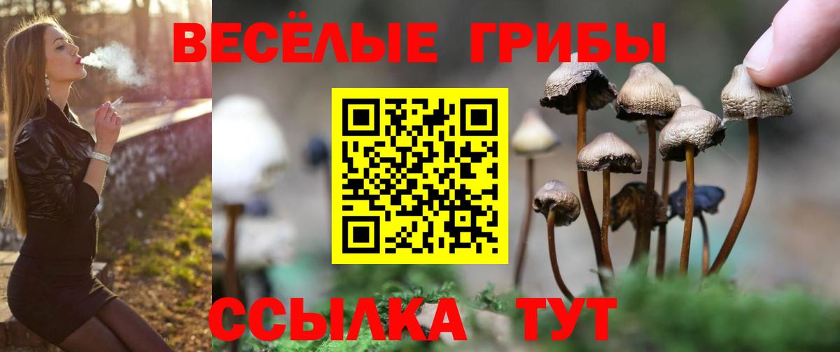 Новочебоксарск  Галлюциногенные грибы MAGIC MUSHROOMS  купить наркотики цена  Вход с VPN 